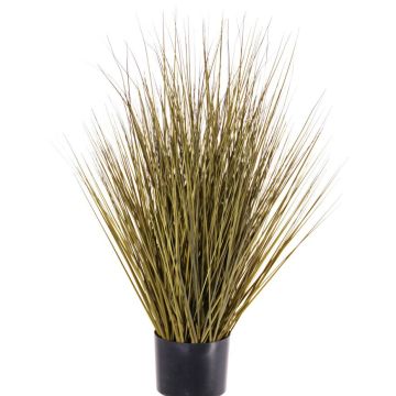 Konstgjord rörhirse ZAYN, gulgrön, 75cm Konstgjord rörhirse ZAYN, gulgrön, 75cm