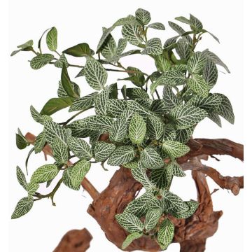 Konstgjord Fittonia NIKLAUS, stickpinne, svårantändlig, grön-vit, 30cm