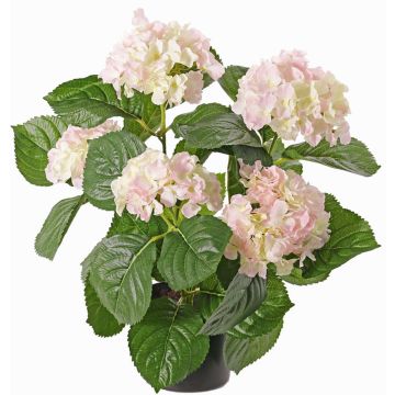 Konstblomma hortensia TEMARI, vit-rosa, 40cm, Ø10-12cm