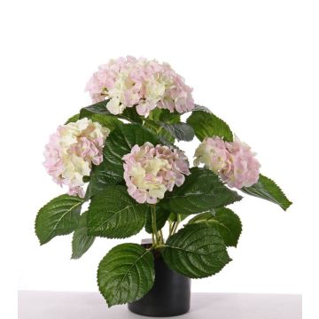 Konstblomma hortensia TEMARI, vit-rosa, 40cm, Ø10-12cm Konstblomma hortensia TEMARI, vit-rosa, 40cm, Ø10-12cm