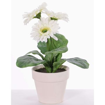 Konstgjord gerbera SIMONE i dekorativ kruka, vit, 30cm, Ø9,5cm Konstgjord gerbera SIMONE i dekorativ kruka, vit, 30cm, Ø9,5cm