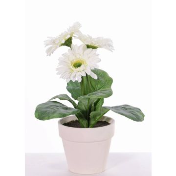 Konstgjord gerbera SIMONE i dekorativ kruka, vit, 30cm, Ø9,5cm