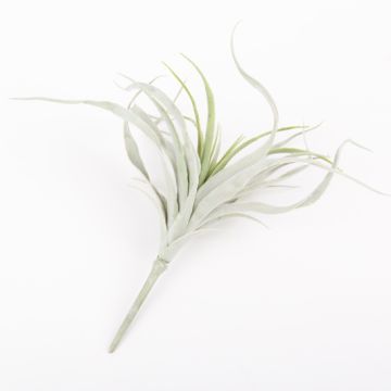 Tillandsia Stricta ADELE i plast på stödpinne, grågrön, 25cm, Ø20cm