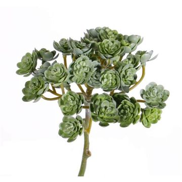 Konstgjord Echeveria macdougallii BLAIR på pinne, grön, 20cm, Ø10cm