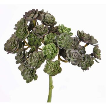 Konstgjord Echeveria macdougallii BLAIR på stödpinne, röd-grön, 20cm, Ø10cm Konstgjord Echeveria macdougallii BLAIR på stödpinne, röd-grön, 20cm, Ø10cm