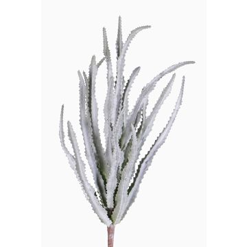 Konstgjord Euphorbia sipolisii REESE på stödpinne, grågrön, 30cm, Ø20cm Konstgjord Euphorbia sipolisii REESE på stödpinne, grågrön, 30cm, Ø20cm