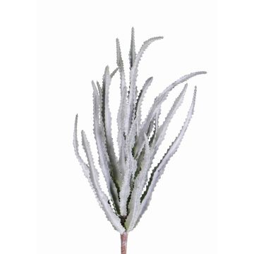 Konstgjord Euphorbia sipolisii REESE på stödpinne, grågrön, 30cm, Ø20cm