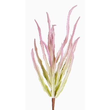 Konstgjord Euphorbia sipolisii REESE på stativ, rosa-grön, 30cm, Ø20cm Konstgjord Euphorbia sipolisii REESE på stativ, rosa-grön, 30cm, Ø20cm