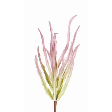 Konstgjord Euphorbia sipolisii REESE på stativ, rosa-grön, 30cm, Ø20cm Konstgjord Euphorbia sipolisii REESE på stativ, rosa-grön, 30cm, Ø20cm