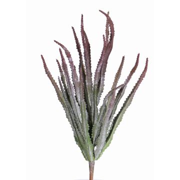 Konstgjord Euphorbia sipolisii REESE på stativ, rödgrön, 30cm, Ø20cm