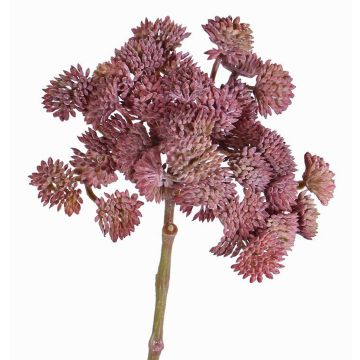 Konstgjord Sedum rubrotinctum DANICA, mörkröd, 20cm, Ø10cm