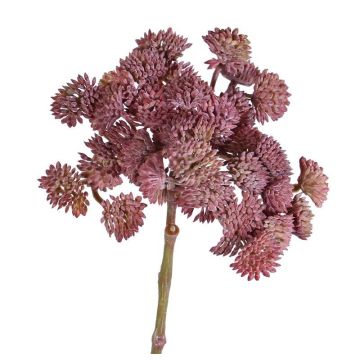 Konstgjord Sedum rubrotinctum DANICA, mörkröd, 20cm, Ø10cm