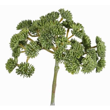 Konstgjord Sedum rubrotinctum DANICA, grön, 20cm, Ø10cm