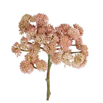 Plast Sedum rubrotinctum DANICA, rosa, 20cm, Ø10cm