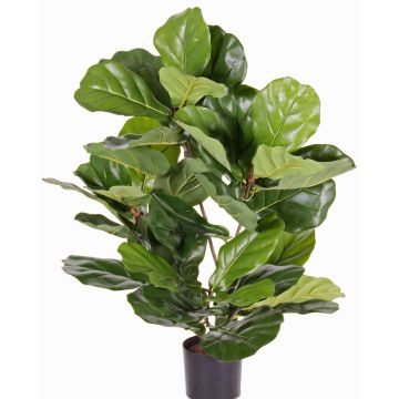 Konstgjord Ficus Lyrata RHYS, crossdoor, grön, 70cm