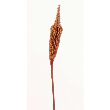 Textil Bulbinella TALUNA, brunröd, 65cm, Ø4cm Textil Bulbinella TALUNA, brunröd, 65cm, Ø4cm