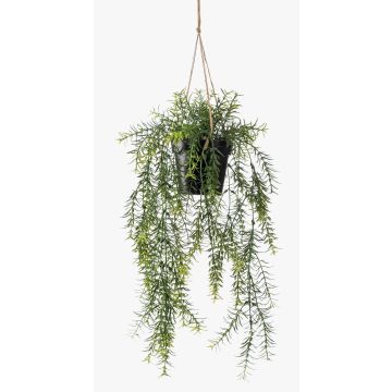 Konstgjord Asparagus sprengeri i hängkruka ANDRES i dekorativ kruka, 50cm