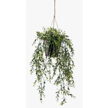 Konstgjord buxbom i hängkruka ANDRES i dekorativ kruka, 50cm