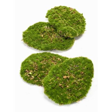 Dekorativa mossbitar HEFEI, 4 st, gröna, 11x15x5cm