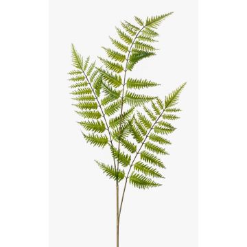 Konstgjord gren av Boston-ormbunke MATISSE, grön, 85cm Konstgjord gren av Boston-ormbunke MATISSE, grön, 85cm