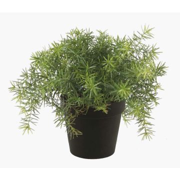 Konstgjord växt Asparagus sprengeri YANIS, 15cm