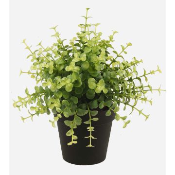 Konstgjord ört: Eukalyptus YANIS, grön, 20cm