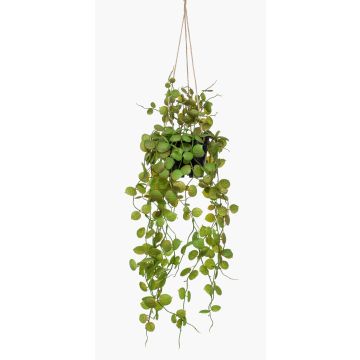 Konstväxt ljusblomma i hängkruka BOLTEN, grön, 50cm Konstväxt ljusblomma i hängkruka BOLTEN, grön, 50cm