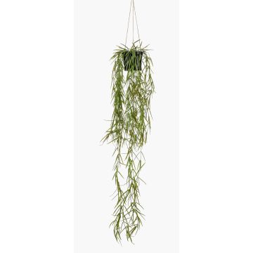 Konstväxt, korallkaktus, hängande blomkruka BOLTEN, grön, 80cm Konstväxt, korallkaktus, hängande blomkruka BOLTEN, grön, 80cm
