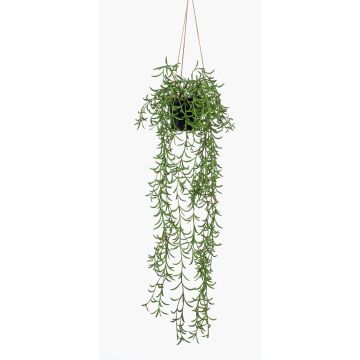 Konstväxt Senecio i hängkruka BOLTEN, grön, 70cm Konstväxt Senecio i hängkruka BOLTEN, grön, 70cm