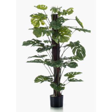 Konstväxt Philodendron Monstera Deliciosa LASO, 120cm Konstväxt Philodendron Monstera Deliciosa LASO, 120cm