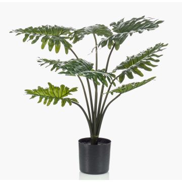 Konstväxt Philodendron Selloum FRIO, 60cm