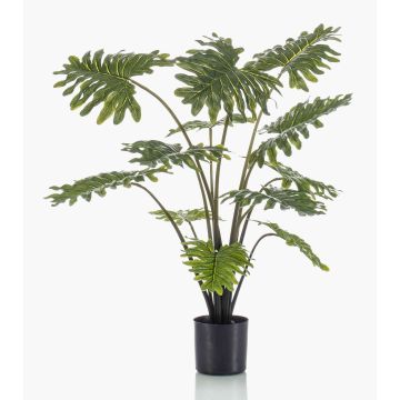 Konstväxt Philodendron Selloum FRIO, 80cm