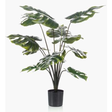 Dekorationsväxt Philodendron Monstera Deliciosa TREA, 80cm Dekorationsväxt Philodendron Monstera Deliciosa TREA, 80cm