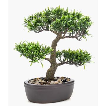Plastbonsai av podocarpus GOYA i skål, 30cm Plastbonsai av podocarpus GOYA i skål, 30cm