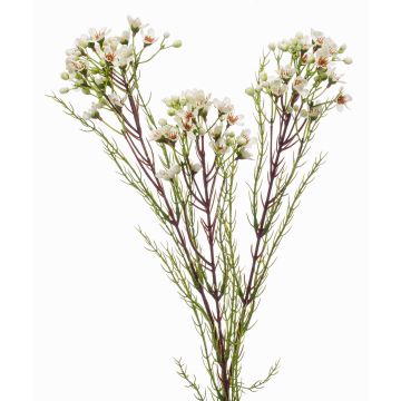 Konstgjord vaxblomstkvist MEDEA, krämfärgad, 80cm, Ø6cm Konstgjord vaxblomstkvist MEDEA, krämfärgad, 80cm, Ø6cm