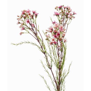 Konstgjord vaxblomstkvist MEDEA, rosa, 80cm, Ø6cm