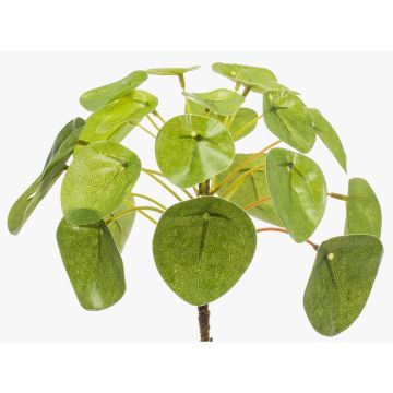 Konstgjord suckulent Pilea peperomioides SYBIL på pinne, grön, 13cm