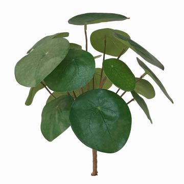 Konstgjord suckulent Pilea peperomioides SYBIL på pinne, grön, 20cm Konstgjord suckulent Pilea peperomioides SYBIL på pinne, grön, 20cm