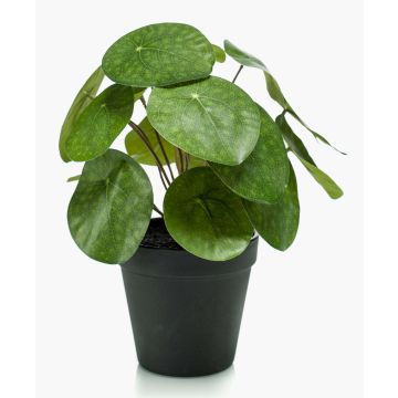 Konstgjord suckulent Pilea peperomioides SYBIL, grön, 20cm Konstgjord suckulent Pilea peperomioides SYBIL, grön, 20cm