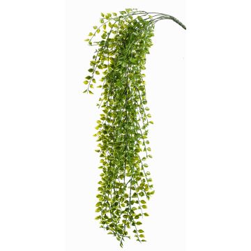 Konstgjord hängväxt klätterfikon CABOT på stödpinne, crossdoor, 80cm