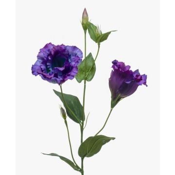 Konstblomma Lisianthus JORO, lila, 65cm, Ø7-8cm Konstblomma Lisianthus JORO, lila, 65cm, Ø7-8cm