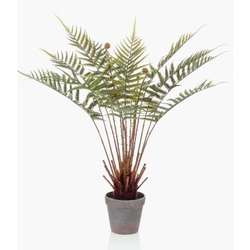 Konstväxt trädormbunke CAMASO i dekorativ kruka, 60cm