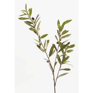 Konstgjord olivkvist PARKER med frukter, 80cm