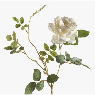 Konstgjord rosgren BEATA, krämfärgad, 75cm, Ø10cm Konstgjord rosgren BEATA, krämfärgad, 75cm, Ø10cm