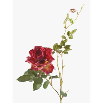 Konstgjord rosgren BEATA, cerise, 75cm, Ø10cm Konstgjord rosgren BEATA, cerise, 75cm, Ø10cm
