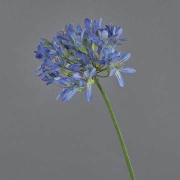 Konstgjord blomma Agapanthus ORNIL, blå, 90cm, Ø18cm Konstgjord blomma Agapanthus ORNIL, blå, 90cm, Ø18cm