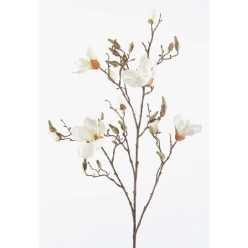 Stor konstgjord magnolia CAELO, krämfärgad, 105cm, Ø15-17cm