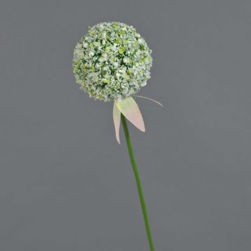 Konstgjord allium DURBAN, vit, 70cm, Ø9cm Konstgjord allium DURBAN, vit, 70cm, Ø9cm