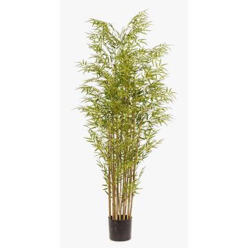 Konstgjord bambu SATOKO, äkta stammar, 180cm