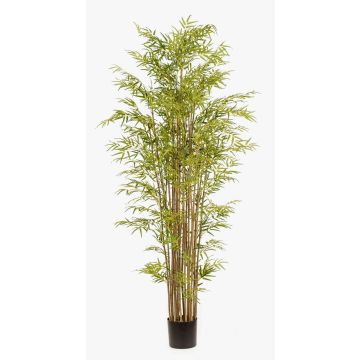 Konstgjord bambu SATOKO, äkta stammar, 210cm